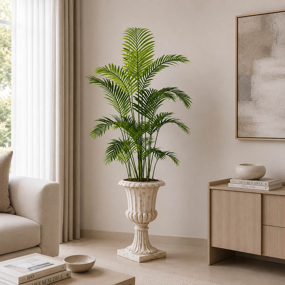 Areca Palm (PL1116)