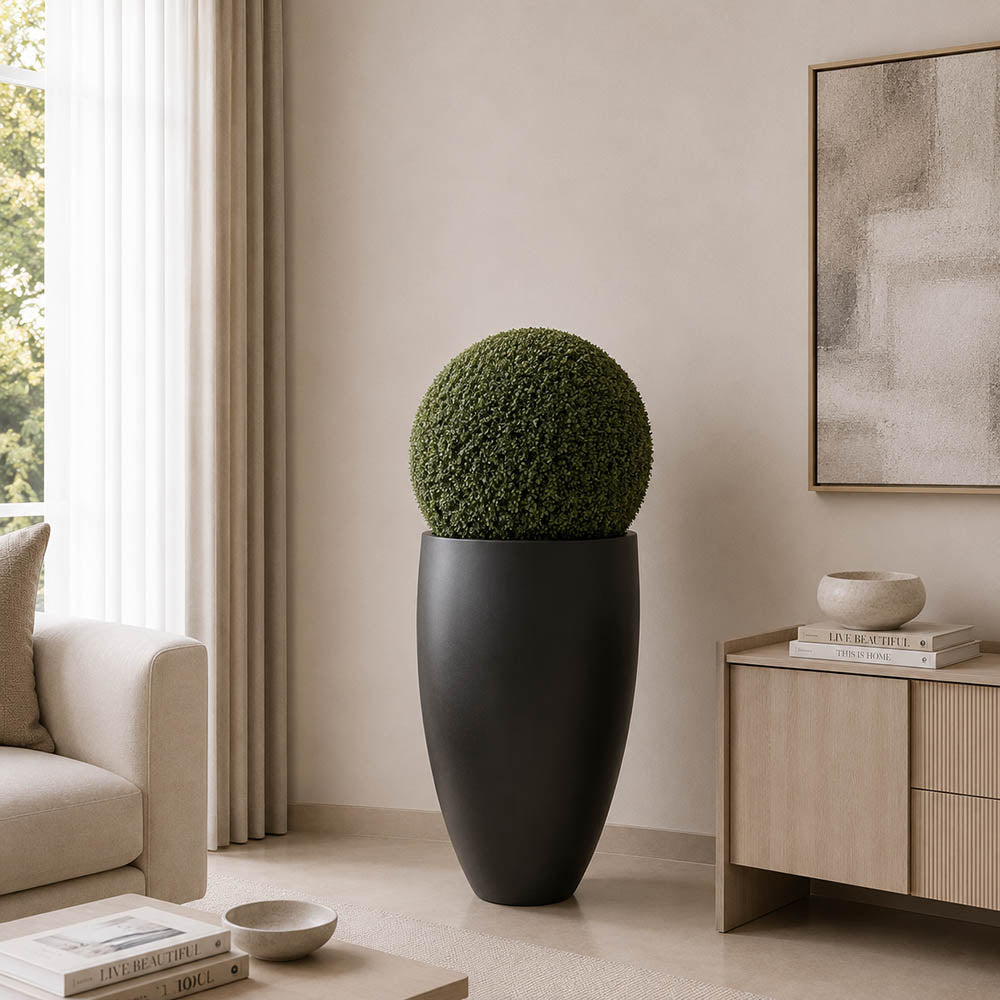 Boxwood Topiary Ball Plant (PL1117)