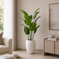 Banana Plant (PL1118)