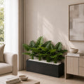 Tropical Plant Kiyari (PL1121)